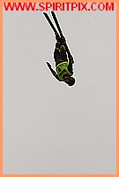 IMG_5632.JPG