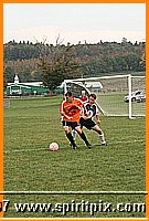 IMG_8000.JPG