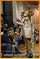 IMG_1826.JPG