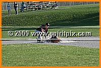 IMG_2977.JPG