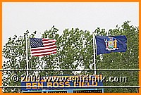IMG_6724.JPG