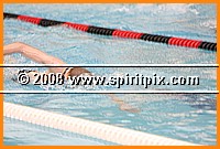 IMG_7385.JPG