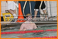 IMG_1133.JPG