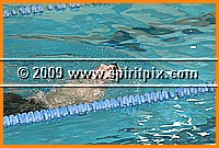 IMG_2542.JPG