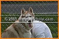 IMG_4824.JPG