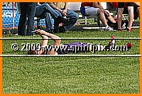 IMG_4842.JPG