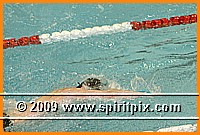 IMG_2598.JPG