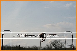IMG_4440.JPG