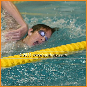 IMG_7919.JPG