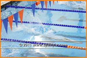 IMG_2884.JPG