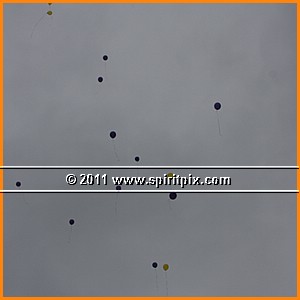 IMG_9885.JPG
