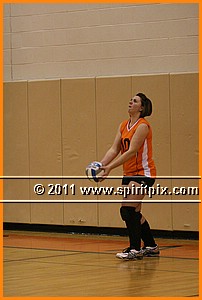 IMG_9353.JPG