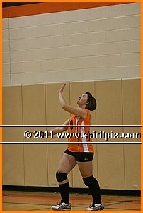 IMG_9355.JPG
