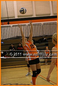 IMG_9368.JPG