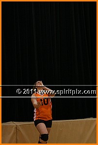 IMG_9510.JPG