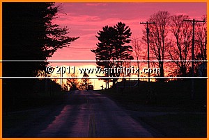 IMG_3111.JPG