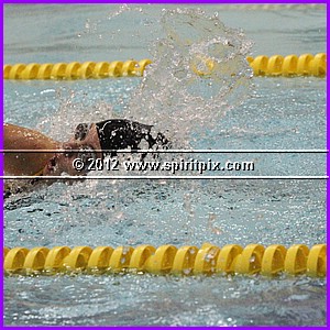 IMG_8895.JPG
