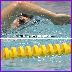 IMG_8932.JPG