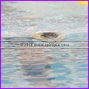 IMG_9201.JPG