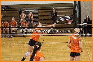 IMG_2168.JPG