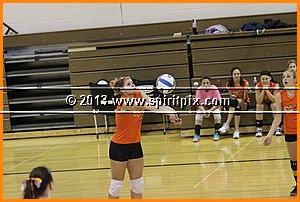 IMG_2214.JPG
