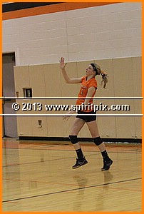 IMG_2378.JPG