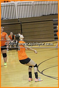 IMG_2502.JPG