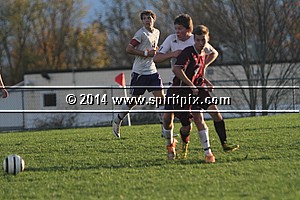 IMG_2231.JPG