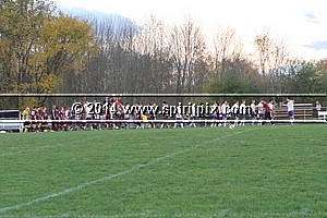 IMG_2466.JPG