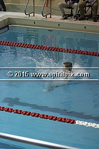 IMG_2072.JPG