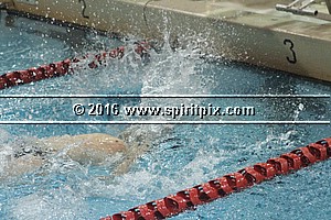 IMG_2337.JPG