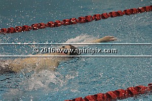 IMG_2382.JPG