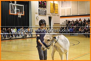 IMG_7363.JPG