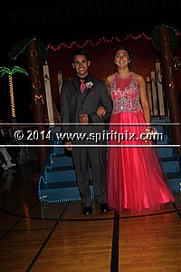 IMG_8279.JPG