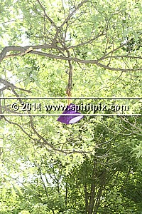 IMG_9418.JPG