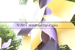 IMG_9431.JPG