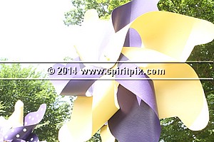 IMG_9432.JPG