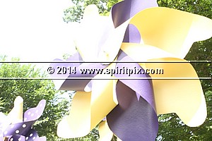 IMG_9433.JPG