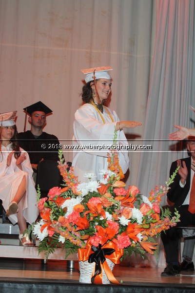 IMG_5478.JPG