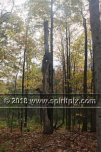 IMG_5666.JPG