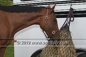 IMG_0206.JPG