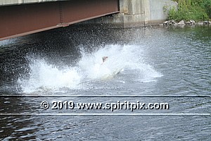 IMG_0251.JPG