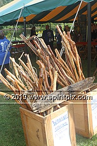 IMG_9929.JPG