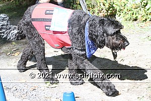 IMG_2760.JPG